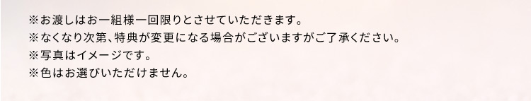 ※お渡しはお一組様一回限りとさせていただきます。 ※なくなり次第 特典が変更になる場合がございますがご了承ください。 ※写真はイメージです。 ※色はお選びいただけません。