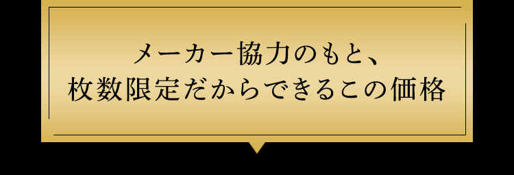 メーカー協力のもと、枚数限定だからできるこの価格